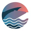 Sharkedge Media
